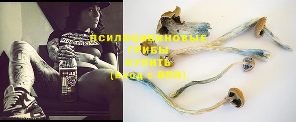 прущие крисы Дмитриев