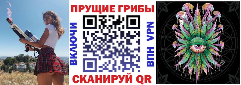 Псилоцибиновые грибы Psilocybine cubensis  Назарово 