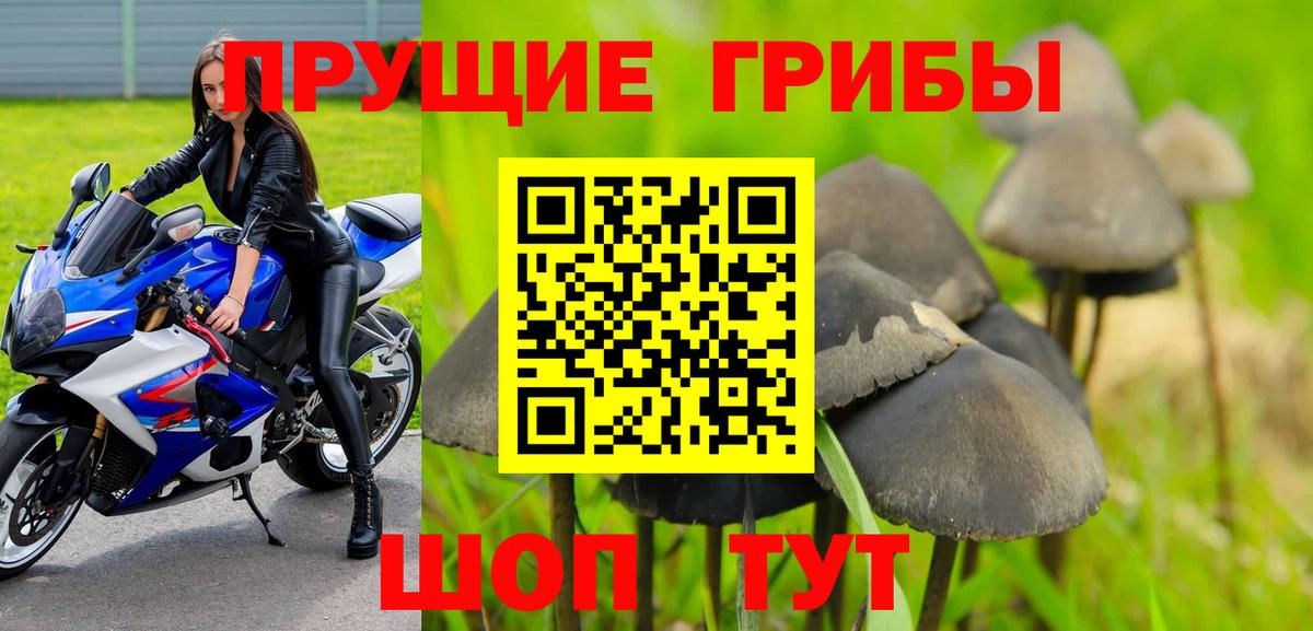 Псилоцибиновые грибы GOLDEN TEACHER  Вход с VPN  Галлюциногенные грибы Psilocybine cubensis  Назарово 