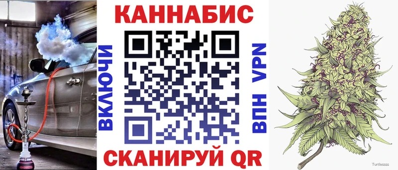 Бошки Шишки план площадка какой сайт Назарово